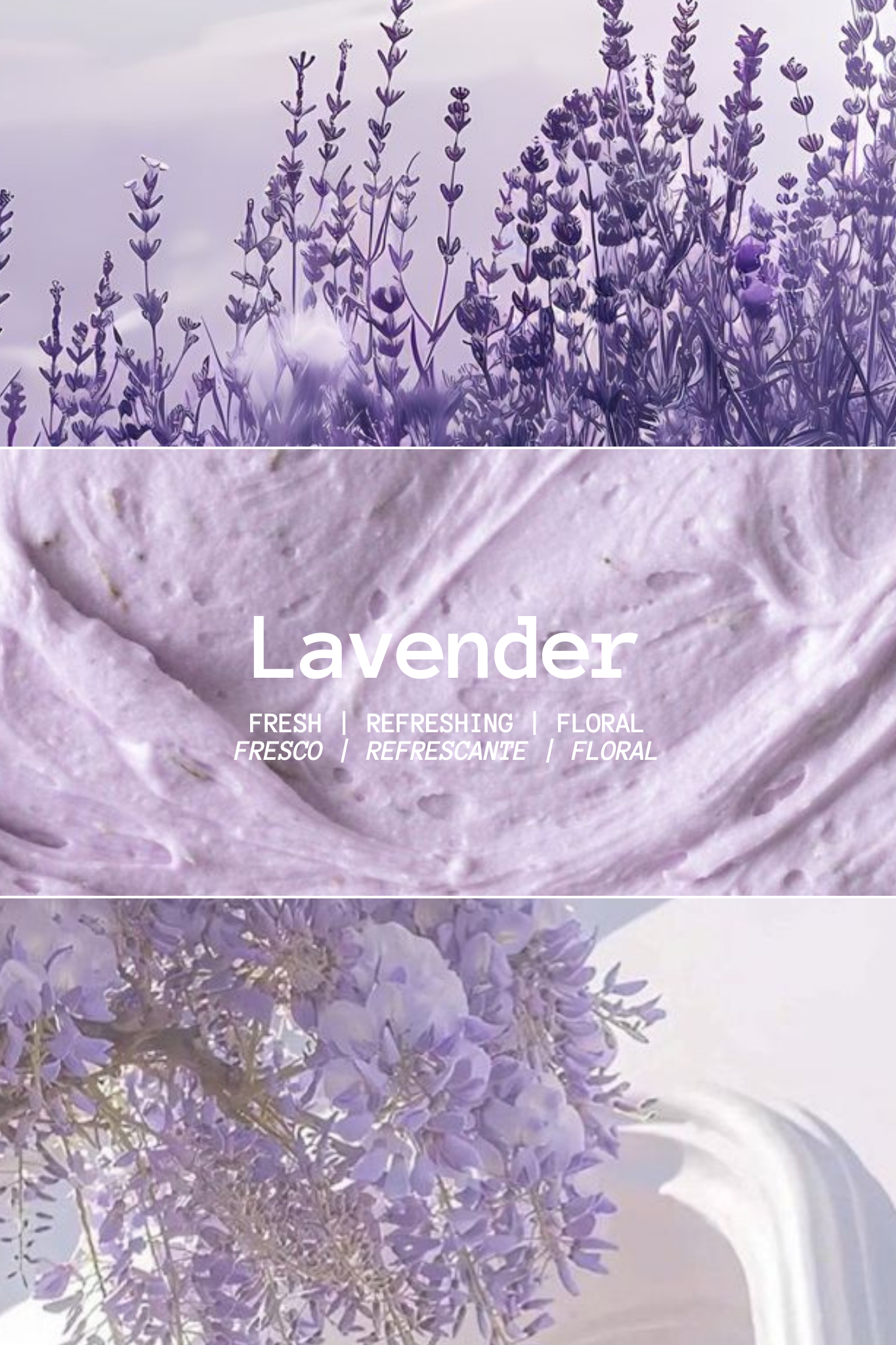 LAVENDER COFFRET