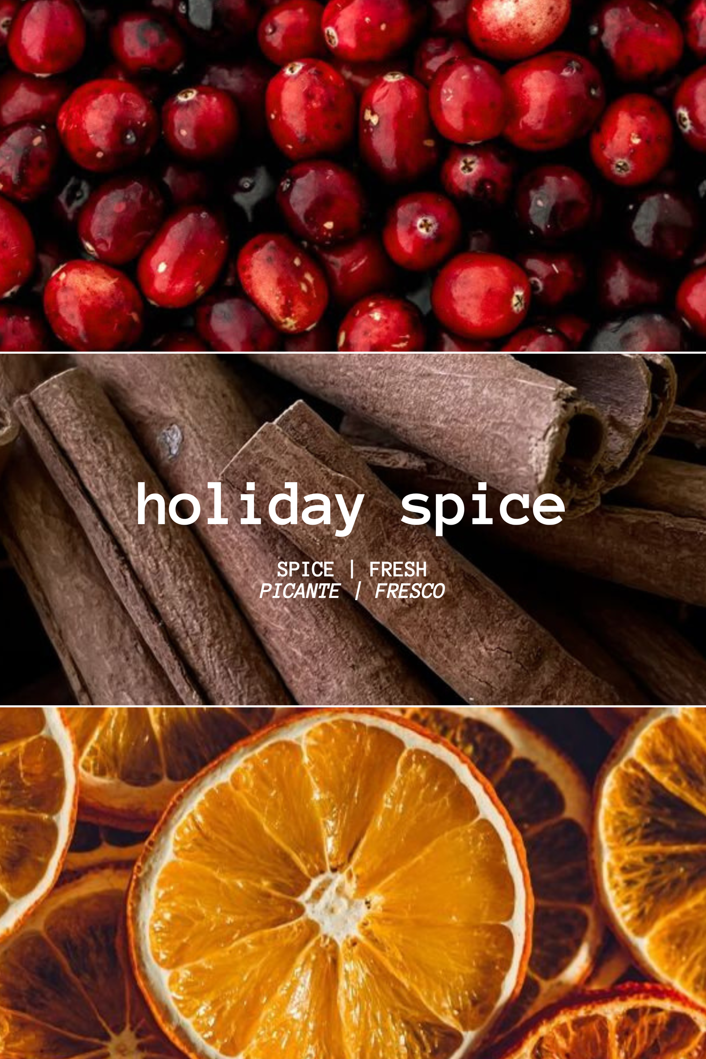 HOLIDAY SPICE REED DIFFUSER