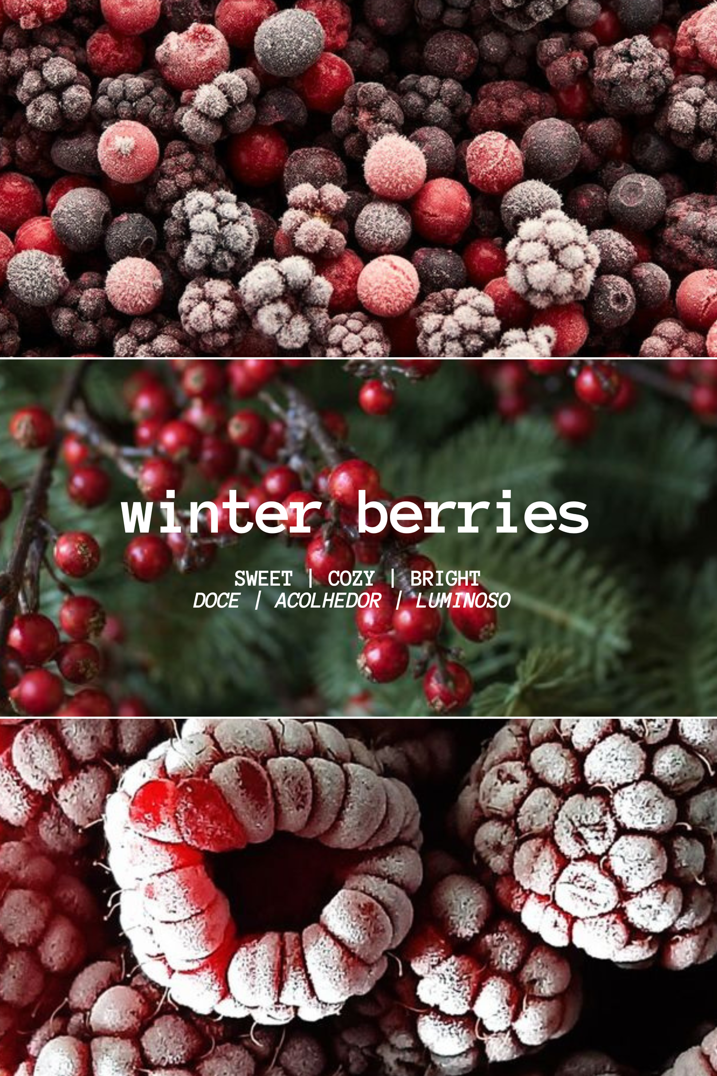 HOLIDAY BERRIES SPRAY DIFFUSER (100ML)