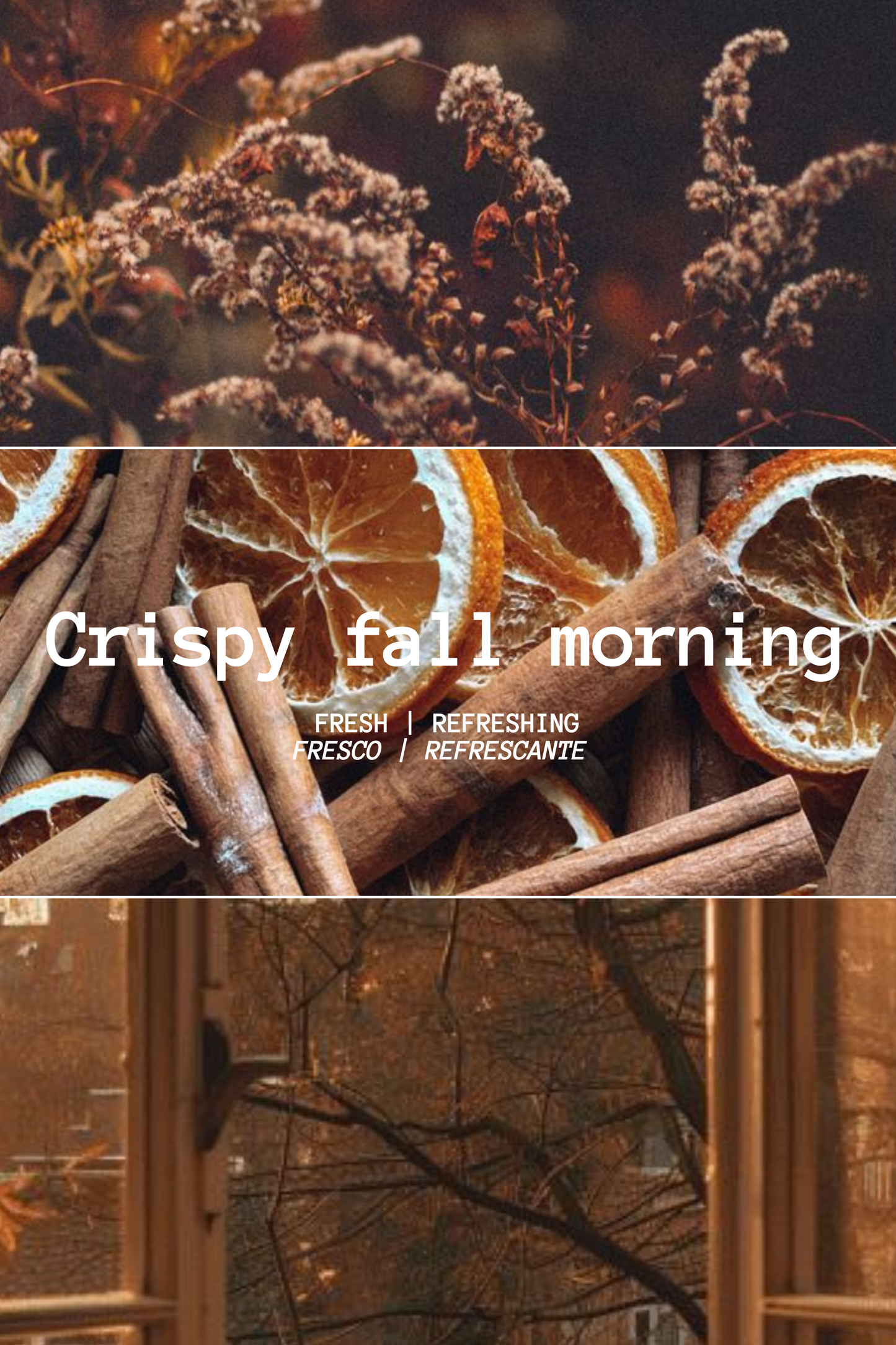 DIFUSOR MIKADO CRISPY FALL MORNING (100ML)
