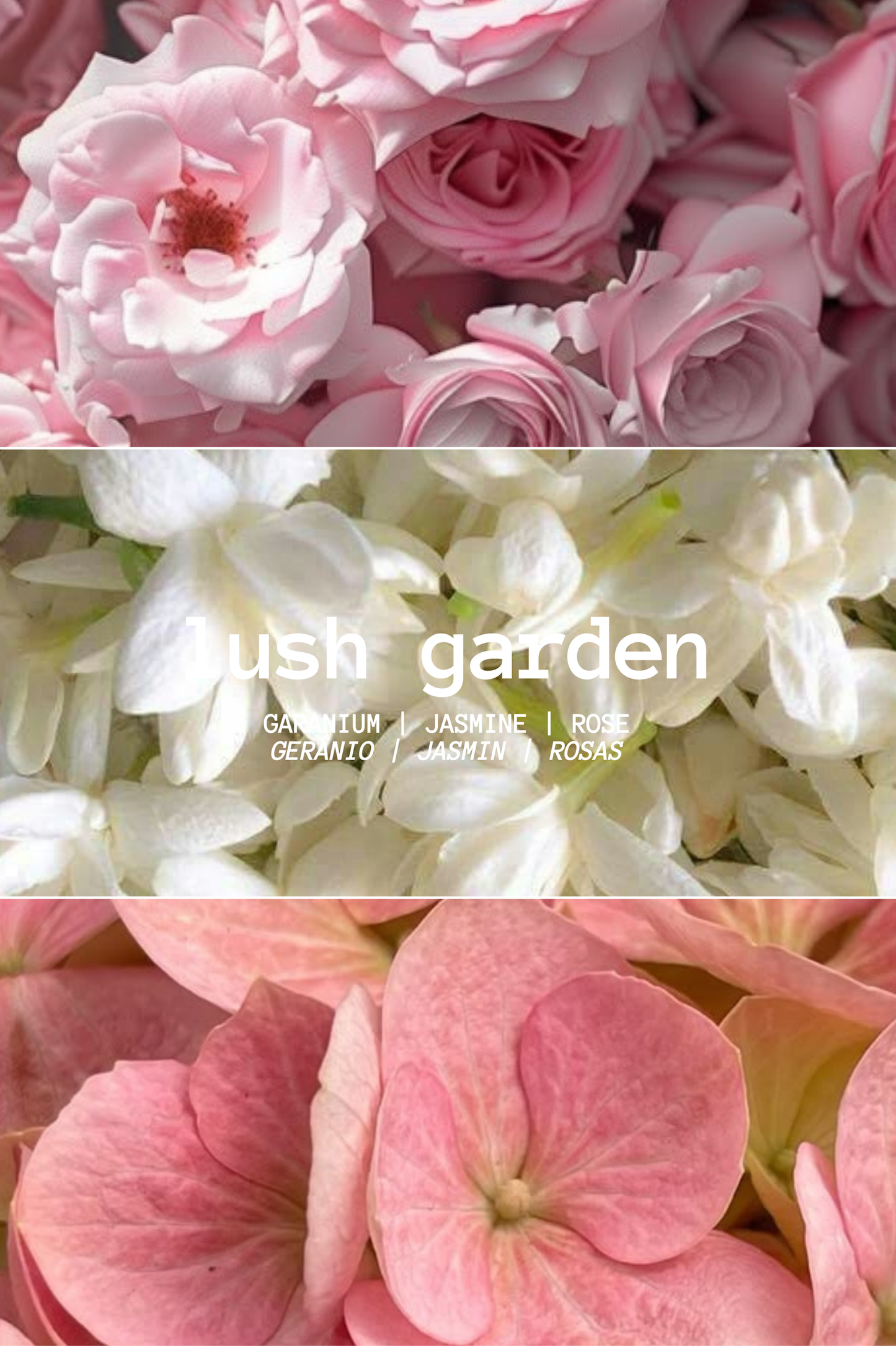 DIFUSOR MIKADO LUSH GARDEN (100ML)