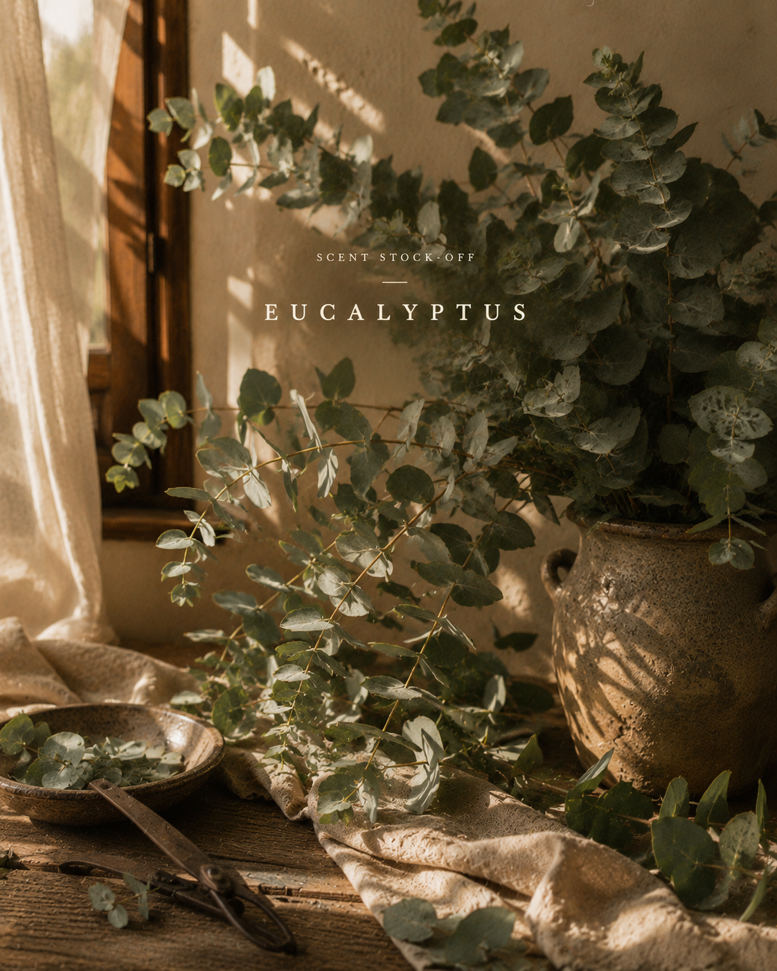 AROMA EUCALIPTO