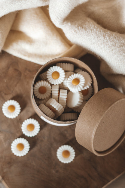 FRESH DAISIES WAX MELT