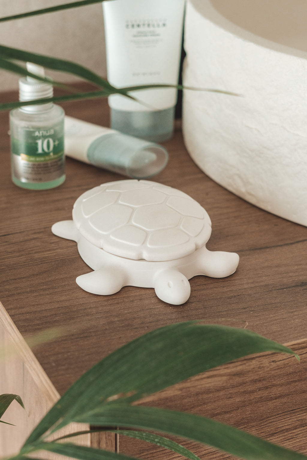 TURTLE CERAMIC