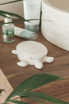 TURTLE CERAMIC