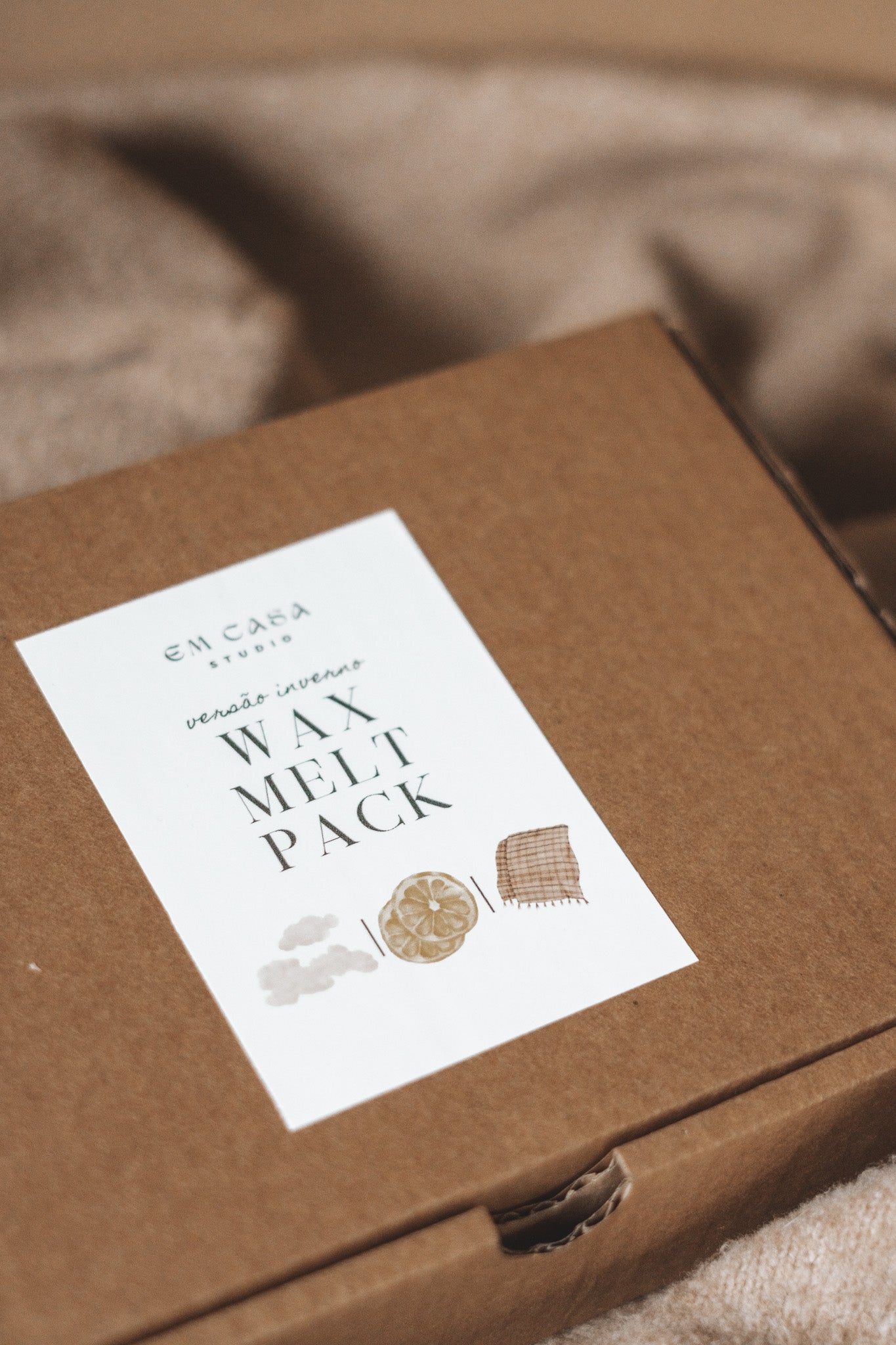 WINTER WAX MELT COFFRET