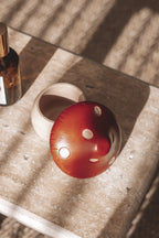 MUSHROOM (CERAMIC)
