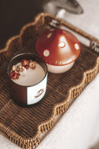 MUSHROOM BUNDLE