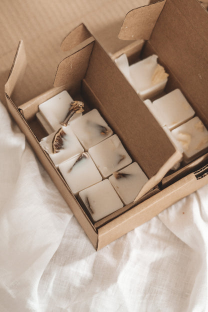 SUMMER WAX MELTS