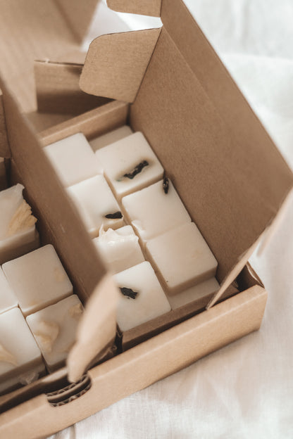 SUMMER WAX MELTS