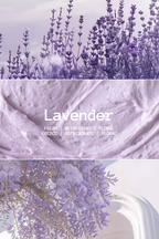 WAX MELT LAVANDA