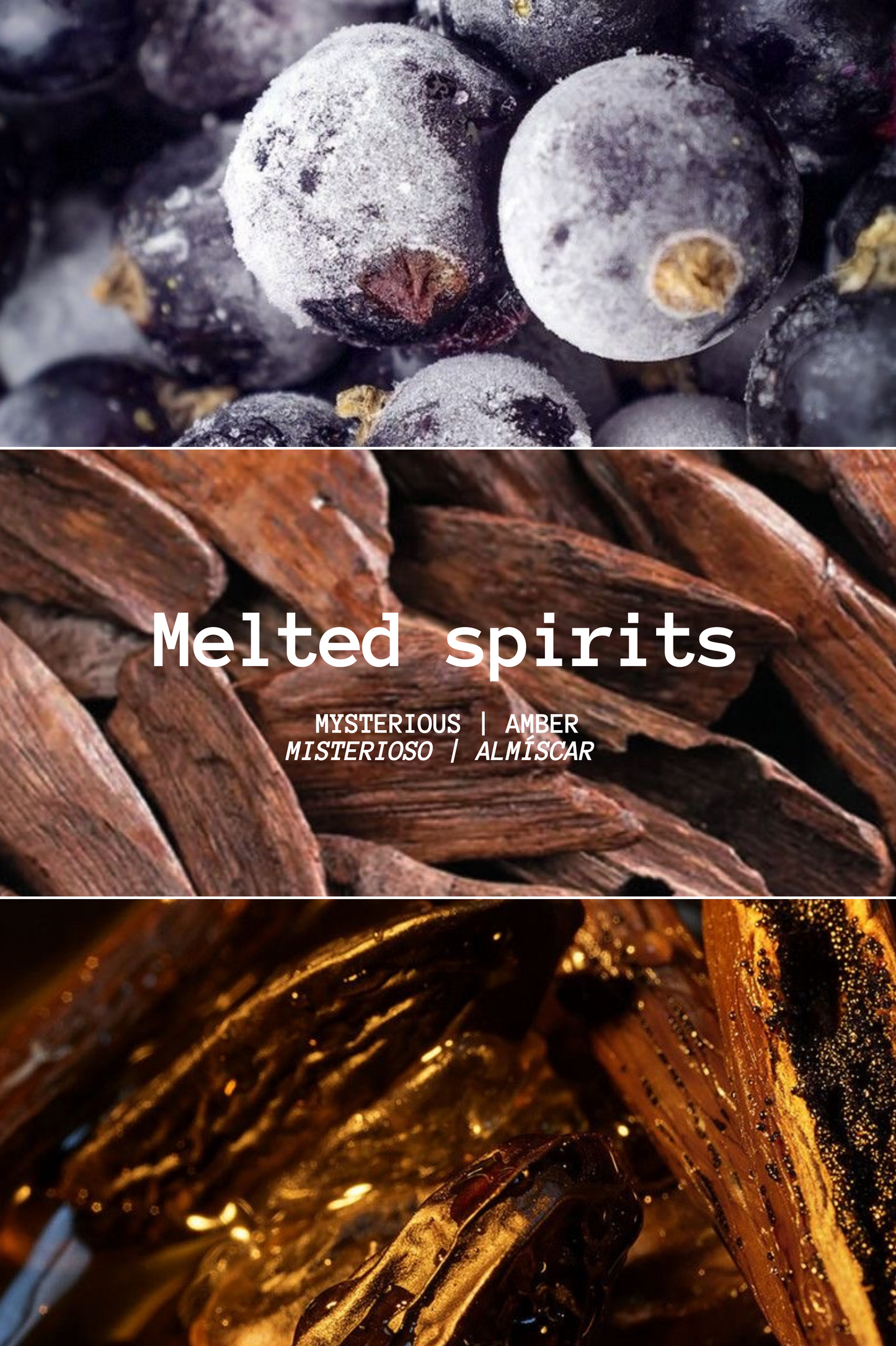 WAX MELT MELTED SPIRITS