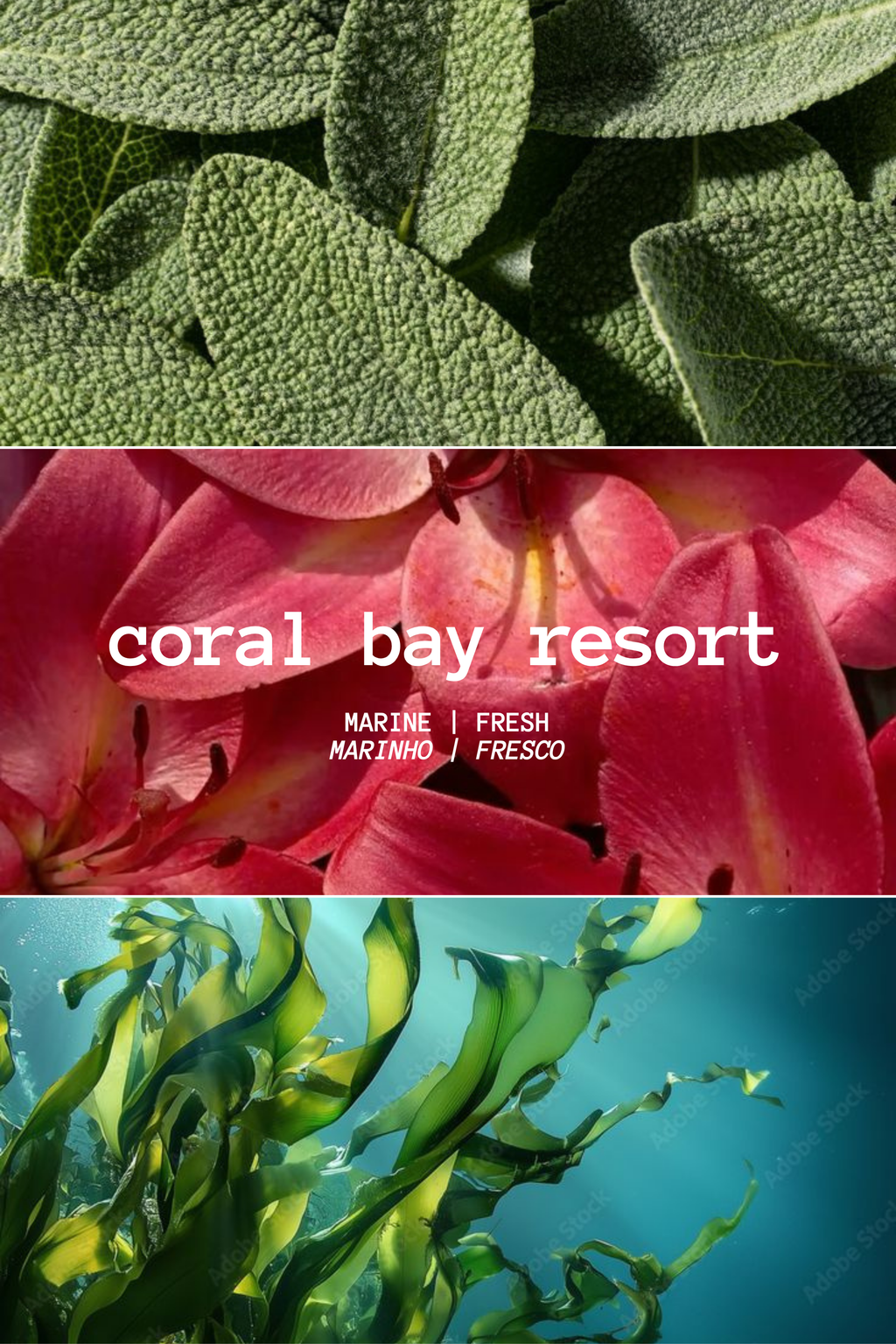 VELA CORAL BAY RESORT