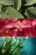 VELA CORAL BAY RESORT