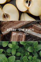 VELA AFTER THE RAIN