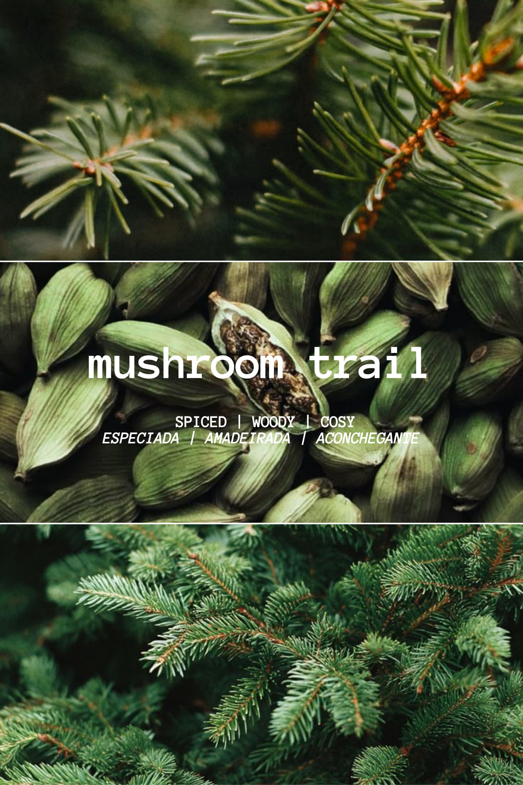MUSHROOM TRAIL CANDLE