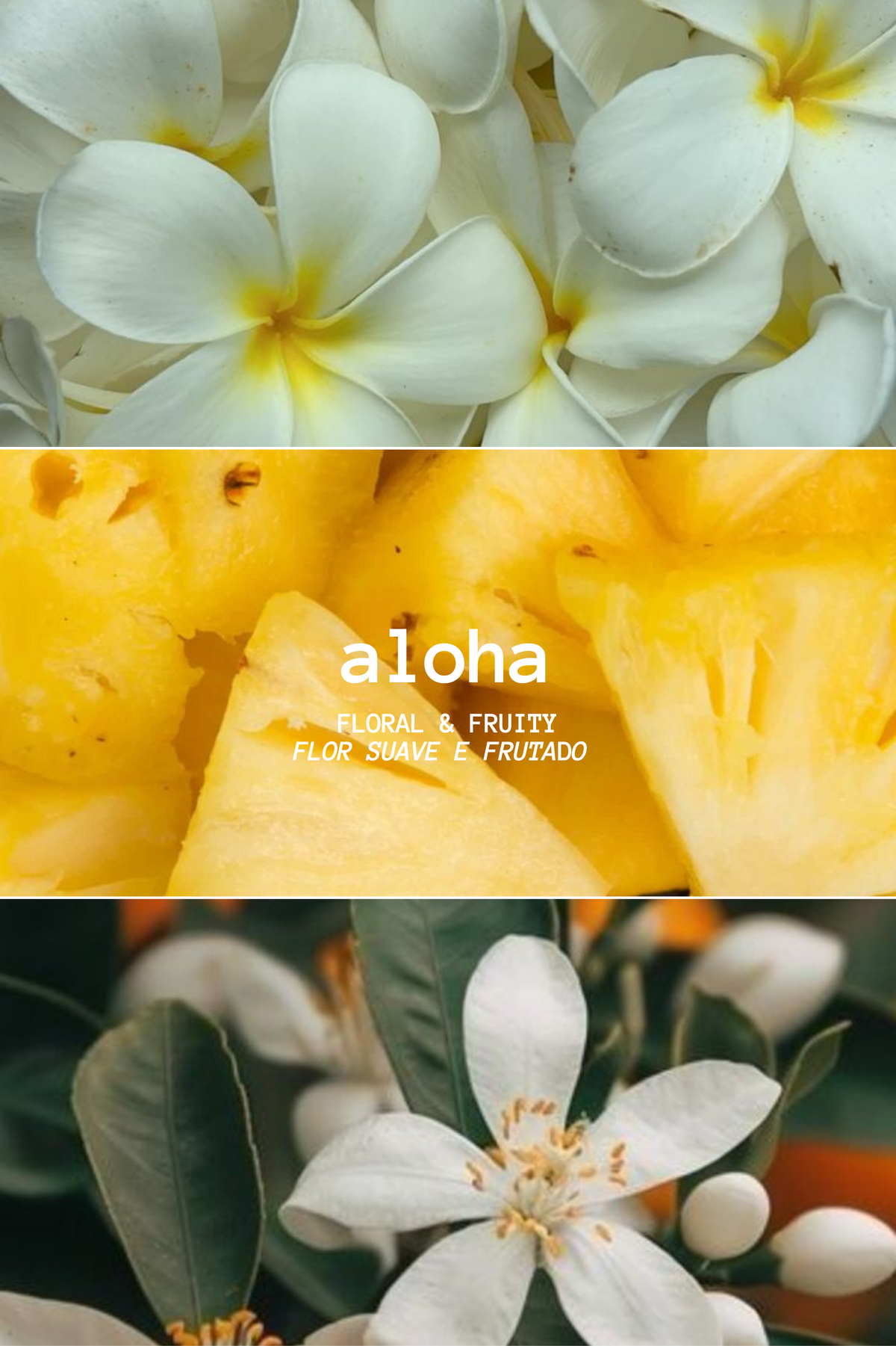 ALOHA WAX MELT