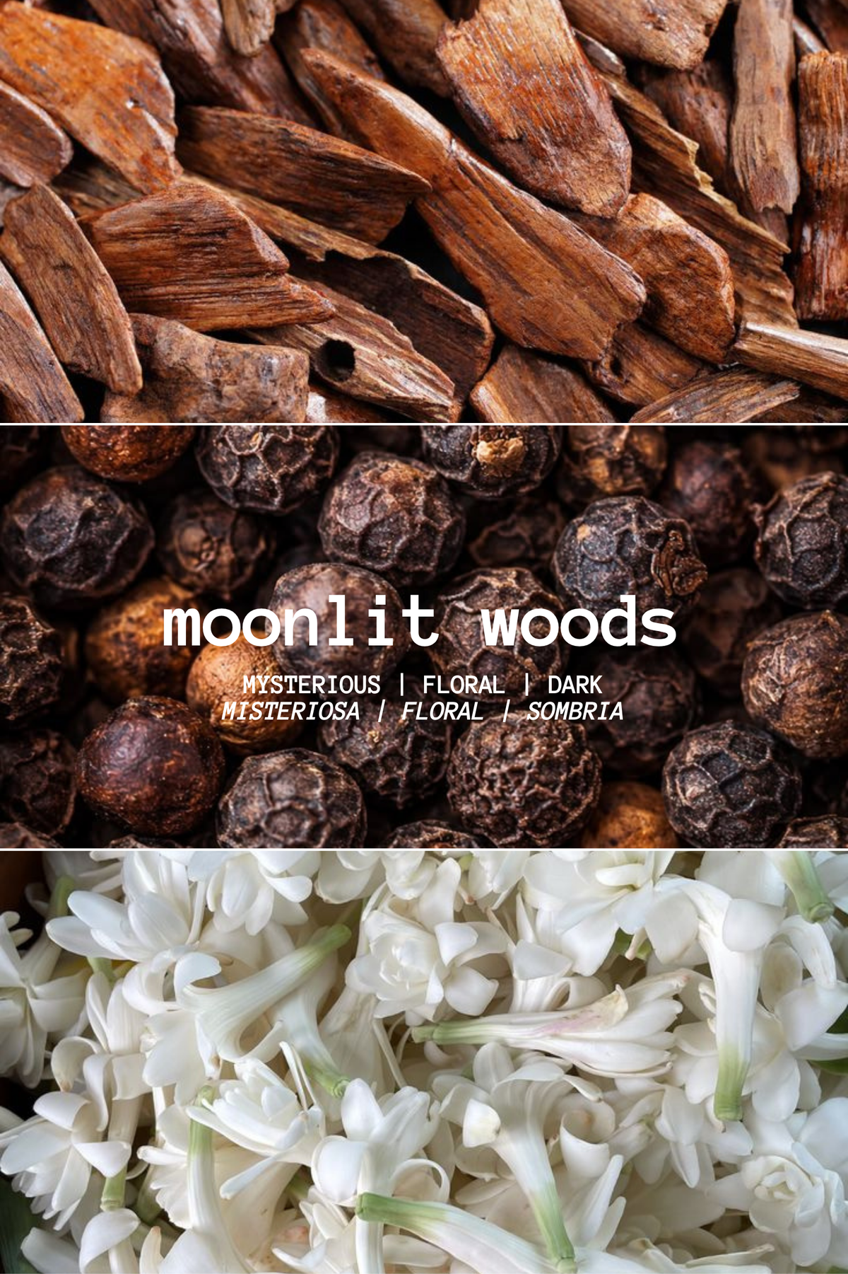 VELA MOONLIT WOODS