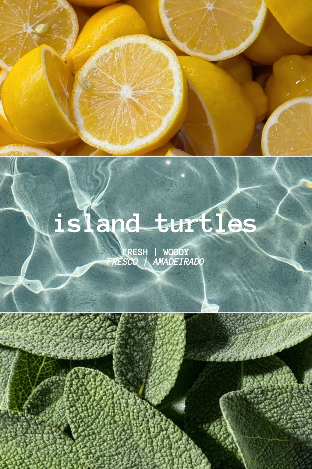 ISLAND TURTLES WAX MELT