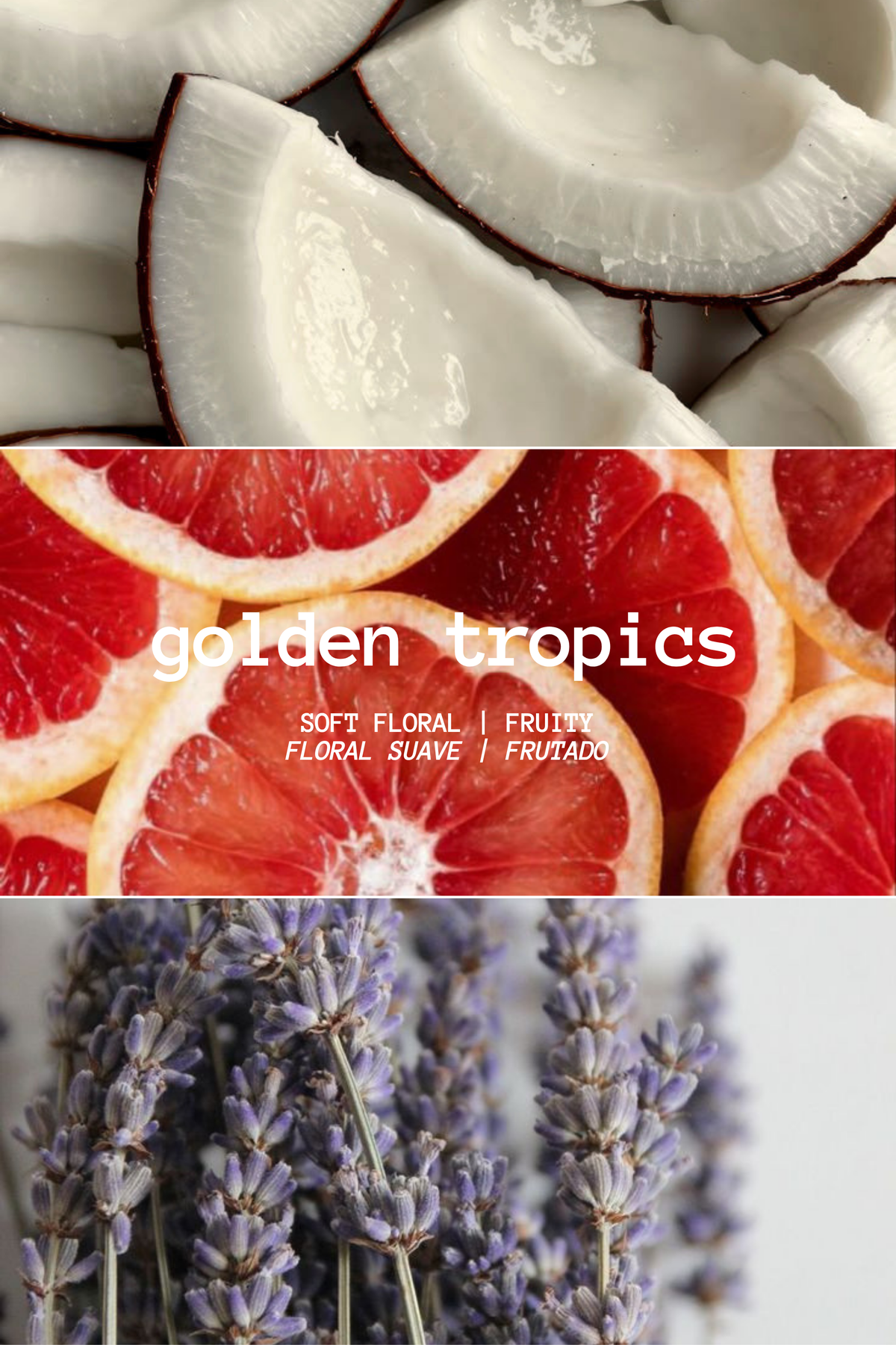 GOLDEN TROPICS SPRAY DIFFUSER