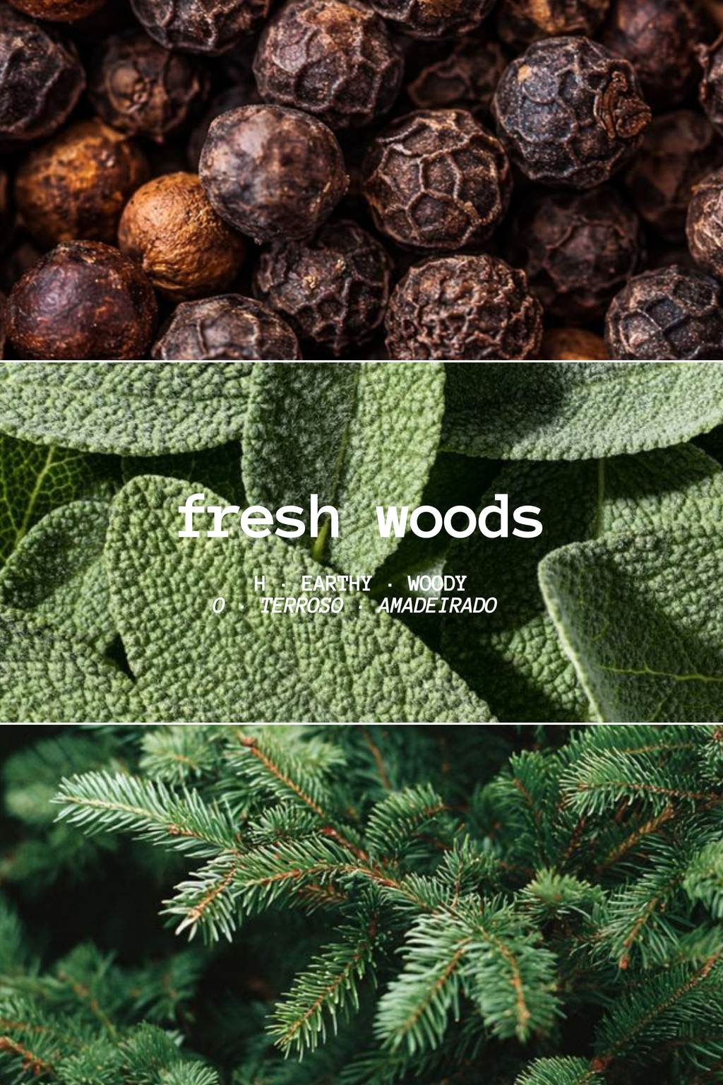 FRESH WOODS SPRAY DIFFUSER