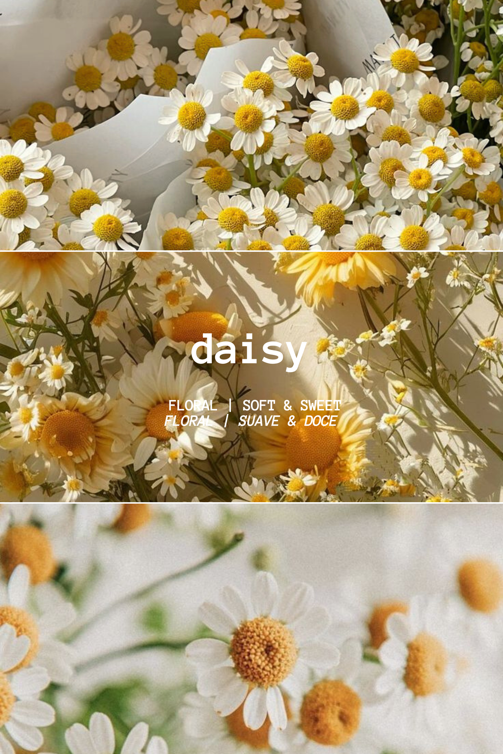 FRESH DAISIES WAX MELT