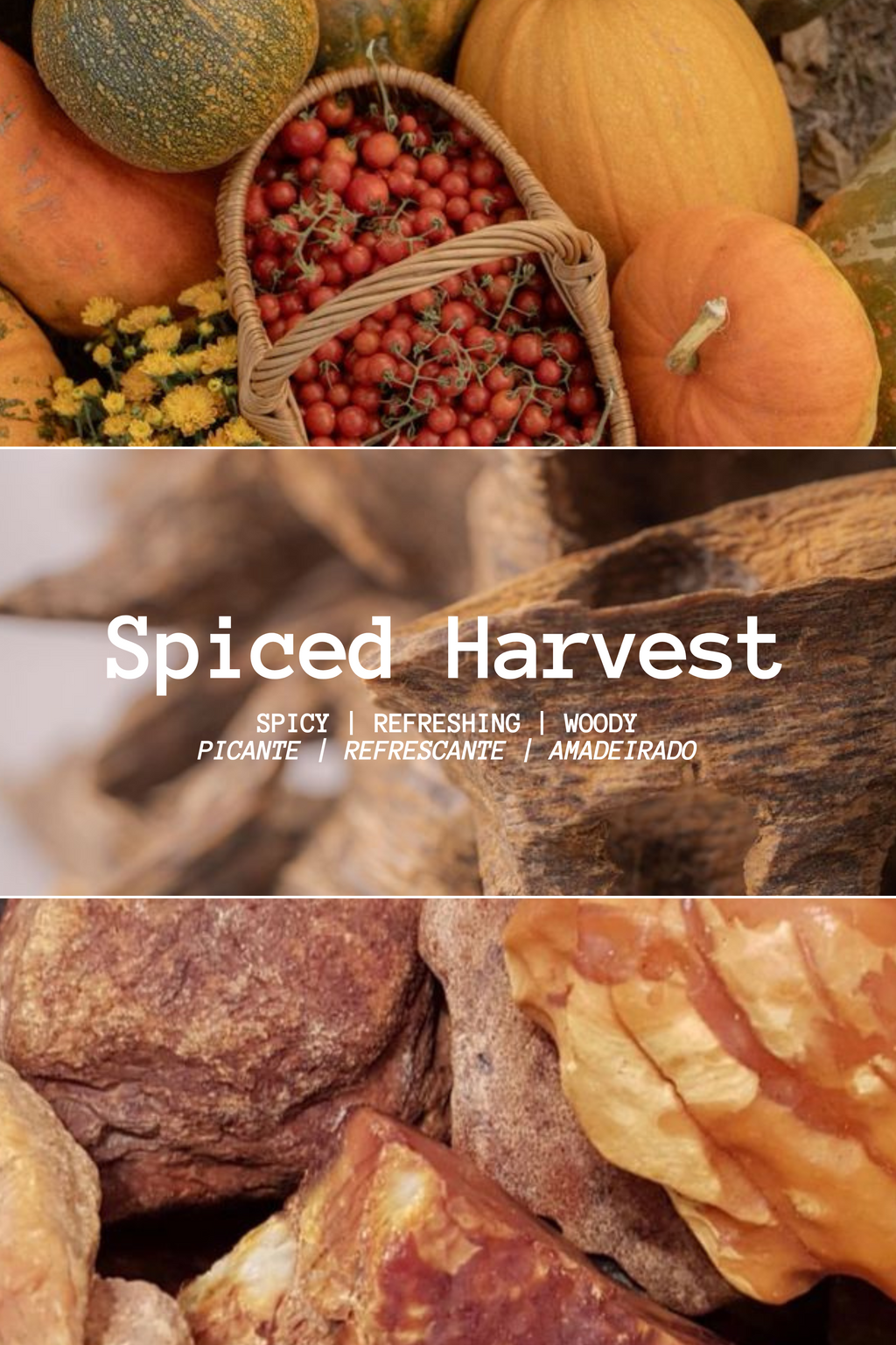 SPICED HARVEST SPRAY DIFFUSER (100ML)