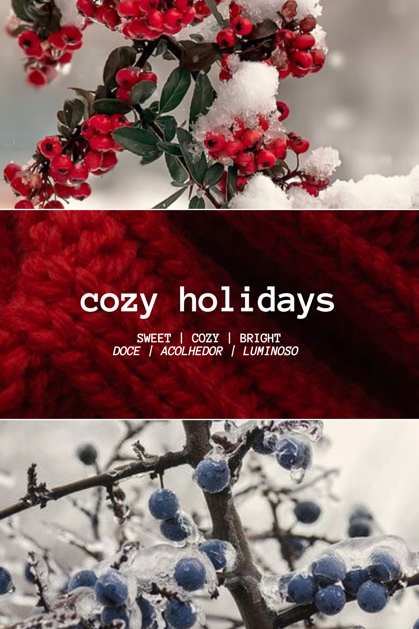 COZY HOLIDAYS REED DIFFUSER