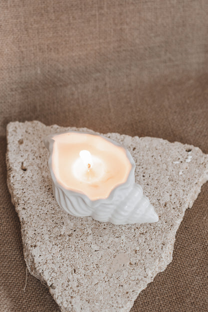 CONCH CANDLE